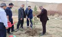 سرپرست شهرکهای صنعتی آذربایجان غربی باکاشت نهالی روزدرختکاری را گرامی داشتند
